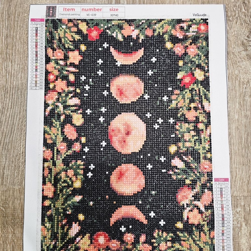 Pink and Black Floral Painting Art